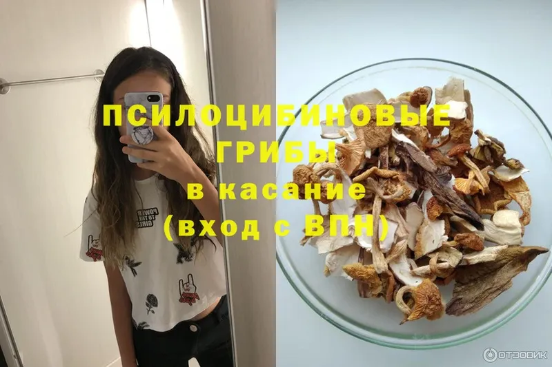 Псилоцибиновые грибы Psilocybine cubensis  Уфа 